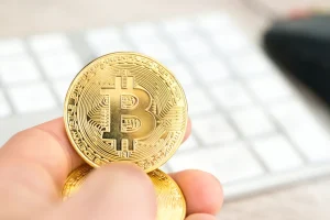 See How to Open an Account at Foxbit and Start Investing